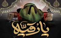شهادت حضرت رقیه (س) تسلیت باد.