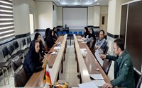 برگزاری کمیته ترویج زایمان طبیعی و کاهش میزان سزارین در بیمارستان مهر امام علی (ع) تکاب